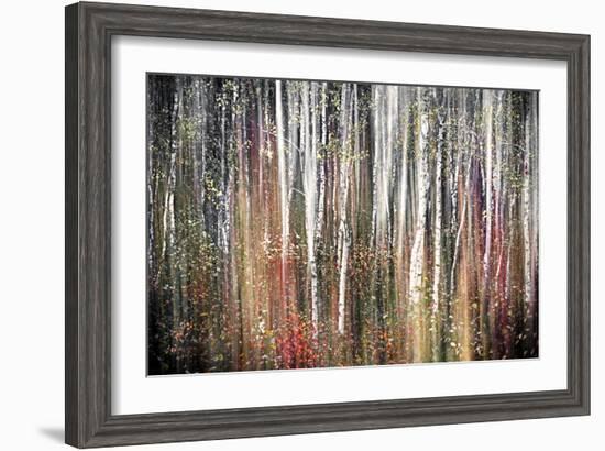 Pink Autumn-Ursula Abresch-Framed Photographic Print