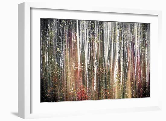 Pink Autumn-Ursula Abresch-Framed Photographic Print