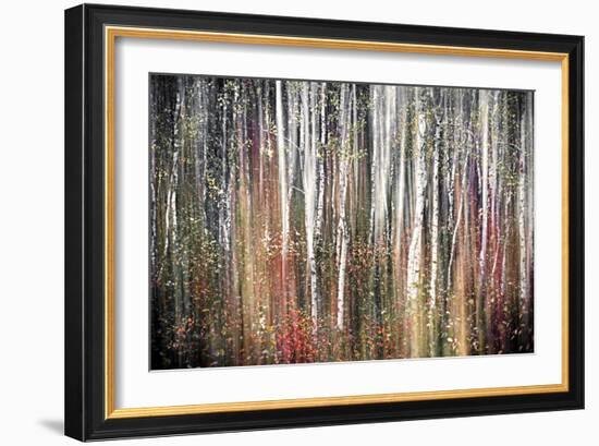 Pink Autumn-Ursula Abresch-Framed Photographic Print