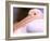 Pink-Backed Pelican, Delta Dunarii, Romania-Gavriel Jecan-Framed Photographic Print