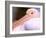 Pink-Backed Pelican, Delta Dunarii, Romania-Gavriel Jecan-Framed Photographic Print