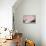 Pink Bathtub with Built in Bathmat-null-Mounted Art Print displayed on a wall