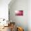 Pink Beads-Philippe Sainte-Laudy-Framed Premier Image Canvas displayed on a wall