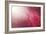 Pink Beads-Philippe Sainte-Laudy-Framed Photographic Print