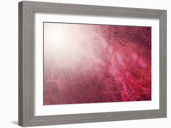 Pink Beads-Philippe Sainte-Laudy-Framed Photographic Print