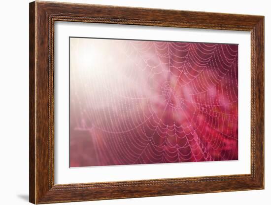 Pink Beads-Philippe Sainte-Laudy-Framed Photographic Print