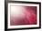 Pink Beads-Philippe Sainte-Laudy-Framed Photographic Print