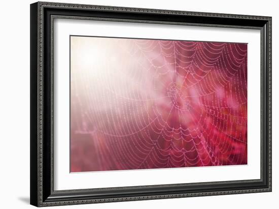 Pink Beads-Philippe Sainte-Laudy-Framed Photographic Print