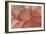 Pink Begonia Petals I-Rita Crane-Framed Photographic Print