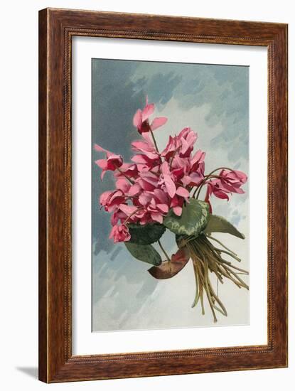 Pink Begonias-null-Framed Art Print