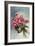 Pink Begonias-null-Framed Art Print