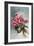 Pink Begonias-null-Framed Art Print