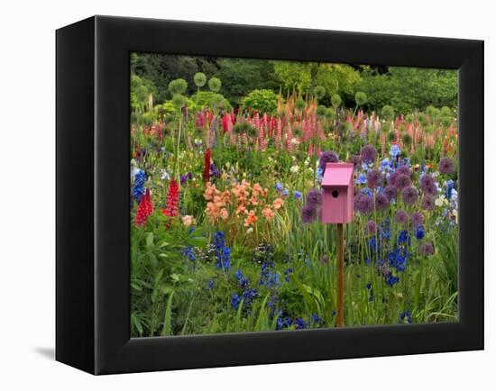 Pink Birdhouse in Flower Garden-Steve Terrill-Framed Premier Image Canvas