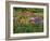 Pink Birdhouse in Flower Garden-Steve Terrill-Framed Photographic Print