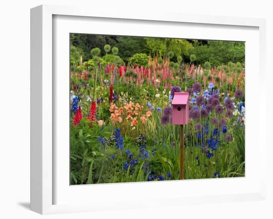 Pink Birdhouse in Flower Garden-Steve Terrill-Framed Photographic Print