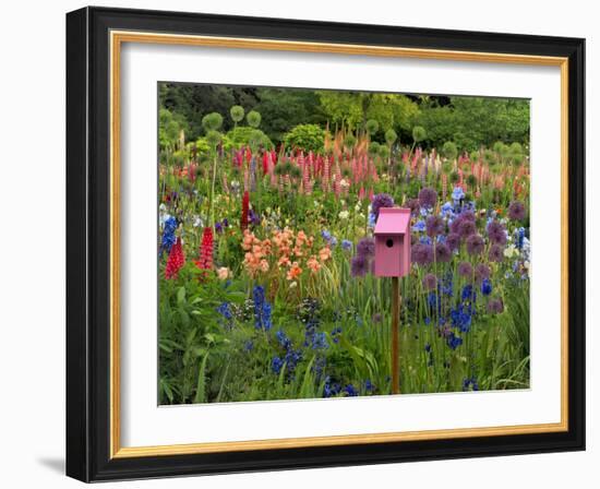 Pink Birdhouse in Flower Garden-Steve Terrill-Framed Photographic Print