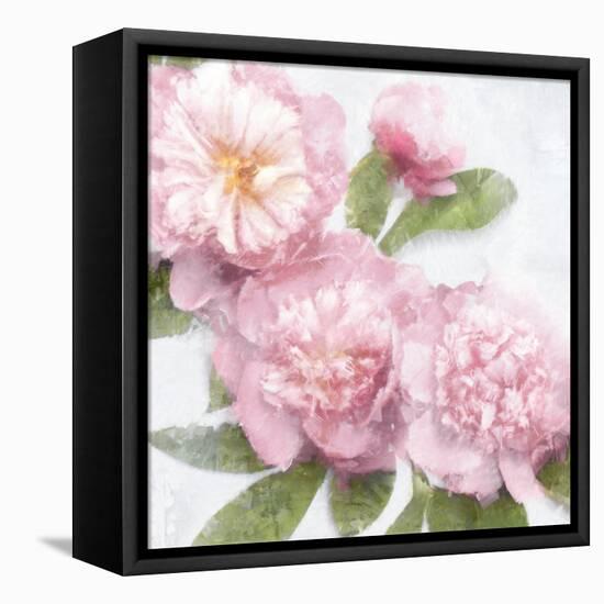 Pink Bloom I-Emily Ford-Framed Stretched Canvas