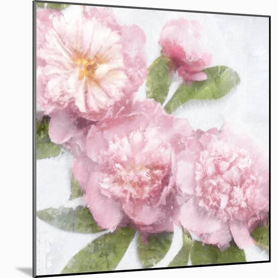 Pink Bloom I-Emily Ford-Mounted Art Print