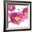 Pink Bloom I-Vanessa Austin-Framed Art Print