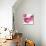 Pink Bloom I-Vanessa Austin-Mounted Art Print displayed on a wall