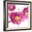 Pink Bloom I-Vanessa Austin-Framed Art Print