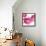 Pink Bloom I-Vanessa Austin-Framed Stretched Canvas displayed on a wall