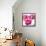 Pink Bloom II-Vanessa Austin-Framed Stretched Canvas displayed on a wall