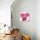 Pink Bloom II-Vanessa Austin-Art Print displayed on a wall
