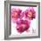 Pink Bloom II-Vanessa Austin-Framed Art Print