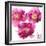 Pink Bloom II-Vanessa Austin-Framed Art Print