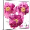 Pink Bloom II-Vanessa Austin-Mounted Art Print