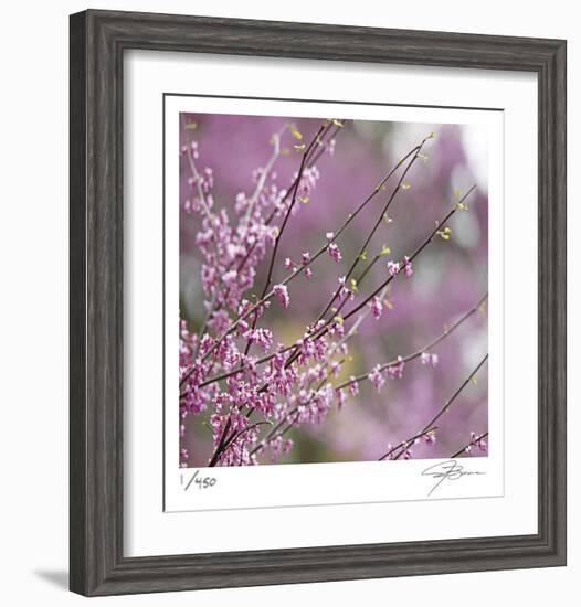 Pink Blooms-Ken Bremer-Framed Limited Edition