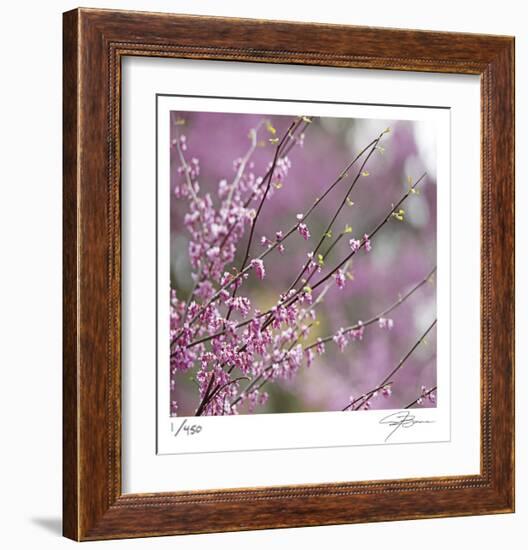 Pink Blooms-Ken Bremer-Framed Limited Edition