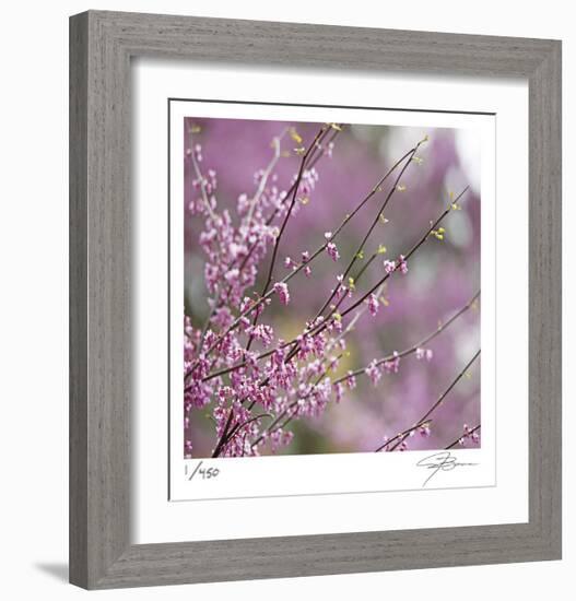 Pink Blooms-Ken Bremer-Framed Limited Edition