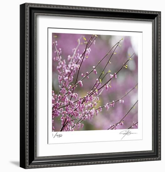 Pink Blooms-Ken Bremer-Framed Limited Edition