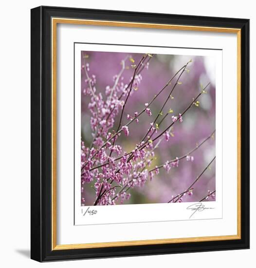 Pink Blooms-Ken Bremer-Framed Limited Edition