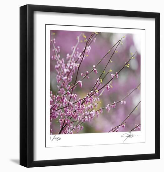 Pink Blooms-Ken Bremer-Framed Limited Edition