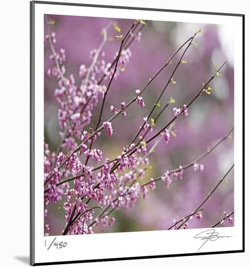 Pink Blooms-Ken Bremer-Mounted Limited Edition