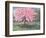 Pink Blossom, 1994-Liz Wright-Framed Giclee Print