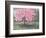 Pink Blossom, 1994-Liz Wright-Framed Giclee Print