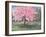 Pink Blossom, 1994-Liz Wright-Framed Giclee Print