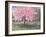 Pink Blossom, 1994-Liz Wright-Framed Giclee Print