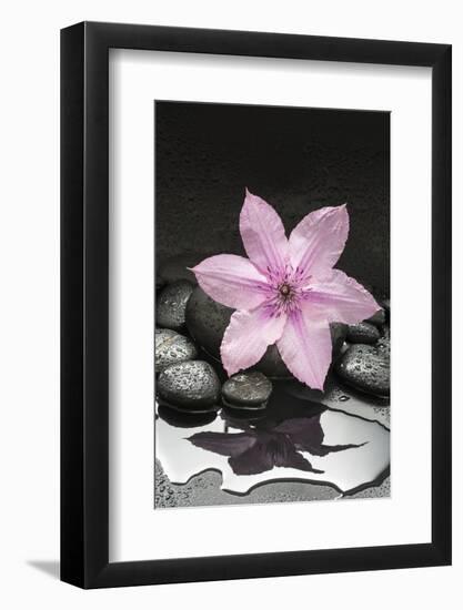 Pink Blossom on Black Stones-Uwe Merkel-Framed Photographic Print