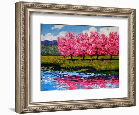 Pink Blossom Reflections-Patty Baker-Framed Art Print