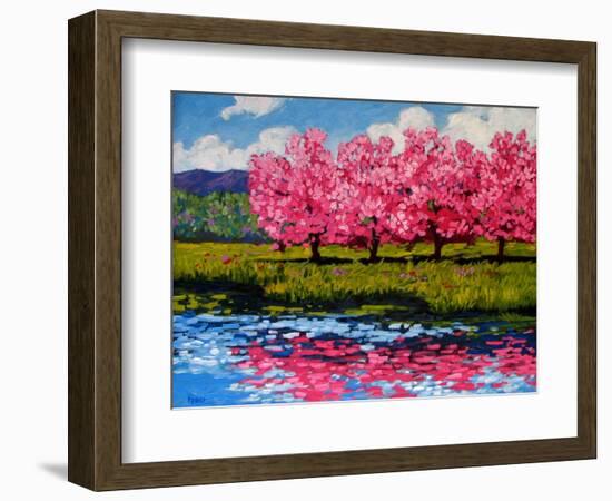 Pink Blossom Reflections-Patty Baker-Framed Art Print