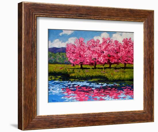 Pink Blossom Reflections-Patty Baker-Framed Art Print