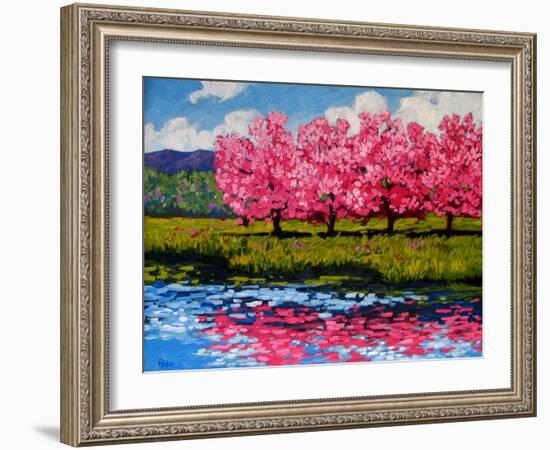 Pink Blossom Reflections-Patty Baker-Framed Art Print