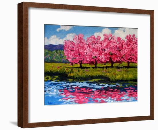 Pink Blossom Reflections-Patty Baker-Framed Art Print