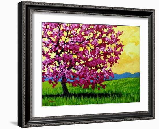Pink Blossom Tree and Yellow Sky-Patty Baker-Framed Art Print