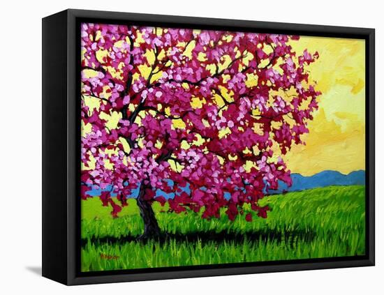 Pink Blossom Tree and Yellow Sky-Patty Baker-Framed Stretched Canvas
